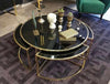 Luxurious Exquisite Centre Table l LCT08 Universal